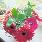 Катя Зацепина