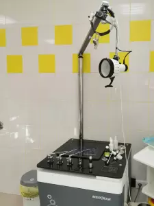 Фотография Шанс 4